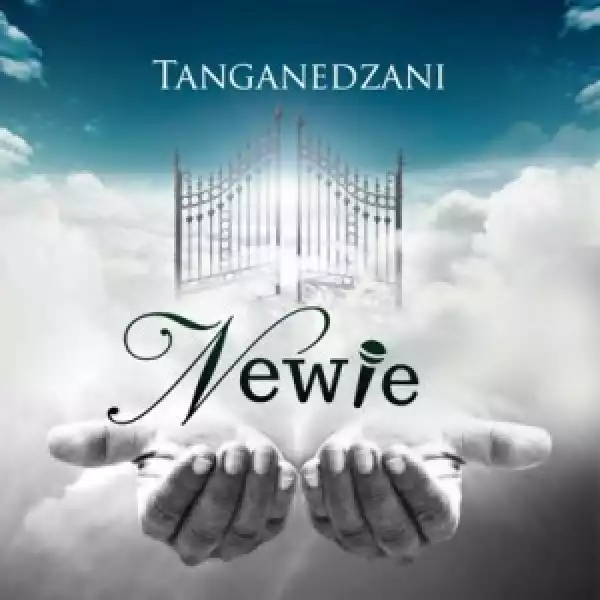 Newie – Tanganedzani (Live)