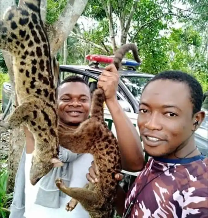 "Respect wildlife" man is called out for killing two civets in Rivers State (photos)