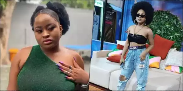 Phyna Sent Me To Leak Her Affair With Groovy To Chichi — Amaka Drops Shocker (Video)
