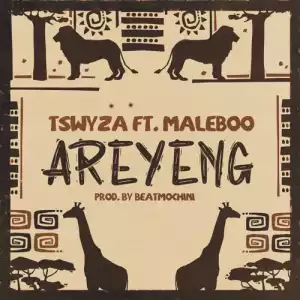 Tswyza – Areyeng ft. Maleboo