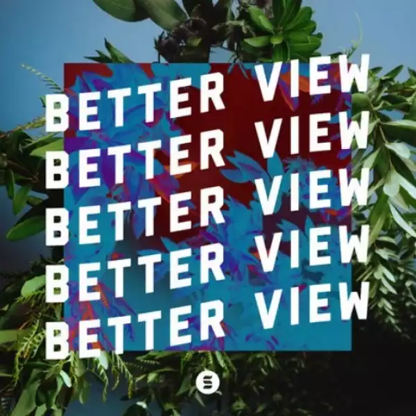 Switch – Better View