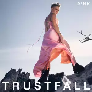 P!nk - Trustfall (Album)