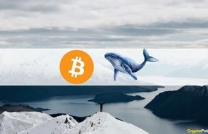 Local-Top Indicators Flash for Bitcoin: 3rd Biggest Whale Sent 3,000 BTC to Coinbase