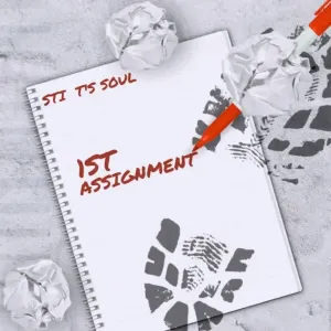 STI T’s Soul – 1St Assignment (EP)