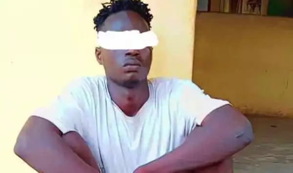 Police Arrest 21-Year-Old Suspected Burglar In Ogun