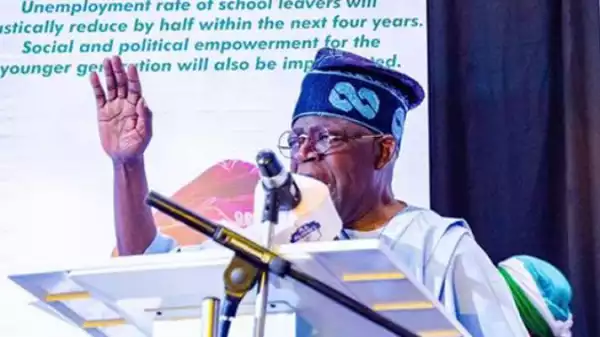 In Minna, Tinubu pledges to reform agric sector