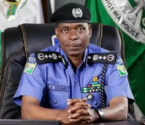 FSARS Reforms: Guilty Officers Arrested, Set To Face Disciplinary Actions – IGP