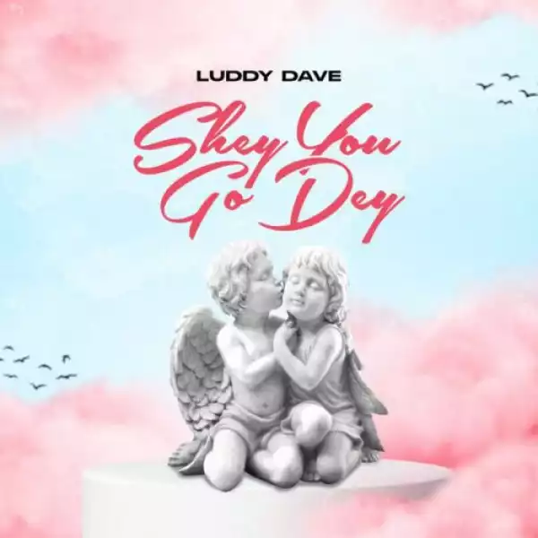 Luddy Dave – Shey You Go Dey