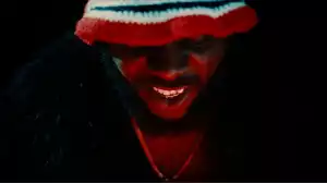 ODUMODUBLVCK Ft. Fireboy DML – FIREGUN (Video)