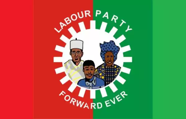 Labour Party, others reject Imo supplementary poll results