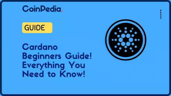Cardano Beginners Guide! Everything You Need to Know!