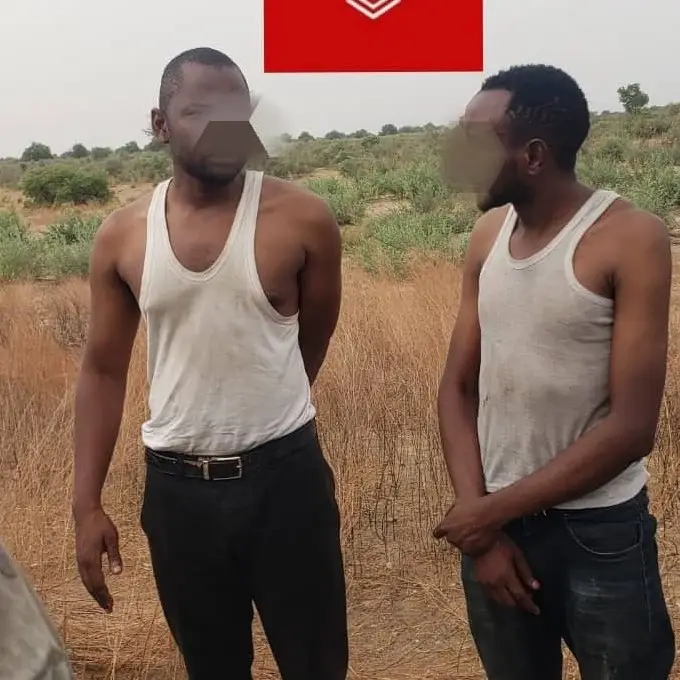 Troops rescue 2 of 3 humanitarian workers abducted by terrorists in Gamboru