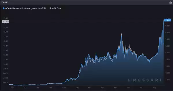 Number of Cardano millionaires rises by 173% after ADA price hits new highs
