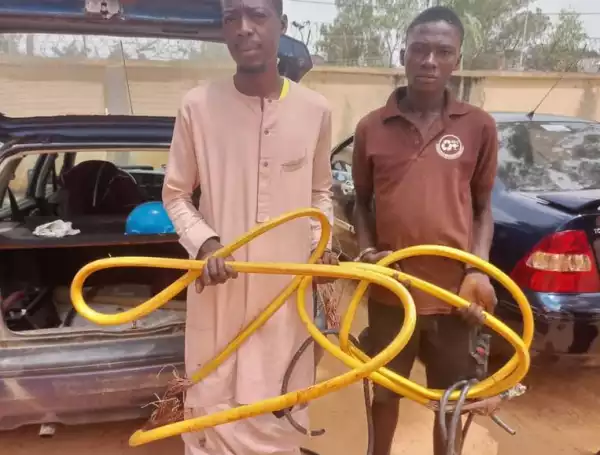 Police Arrest Two Suspects For Vandalizing And Stealing Cables From Adamawa Water Treatment Plant