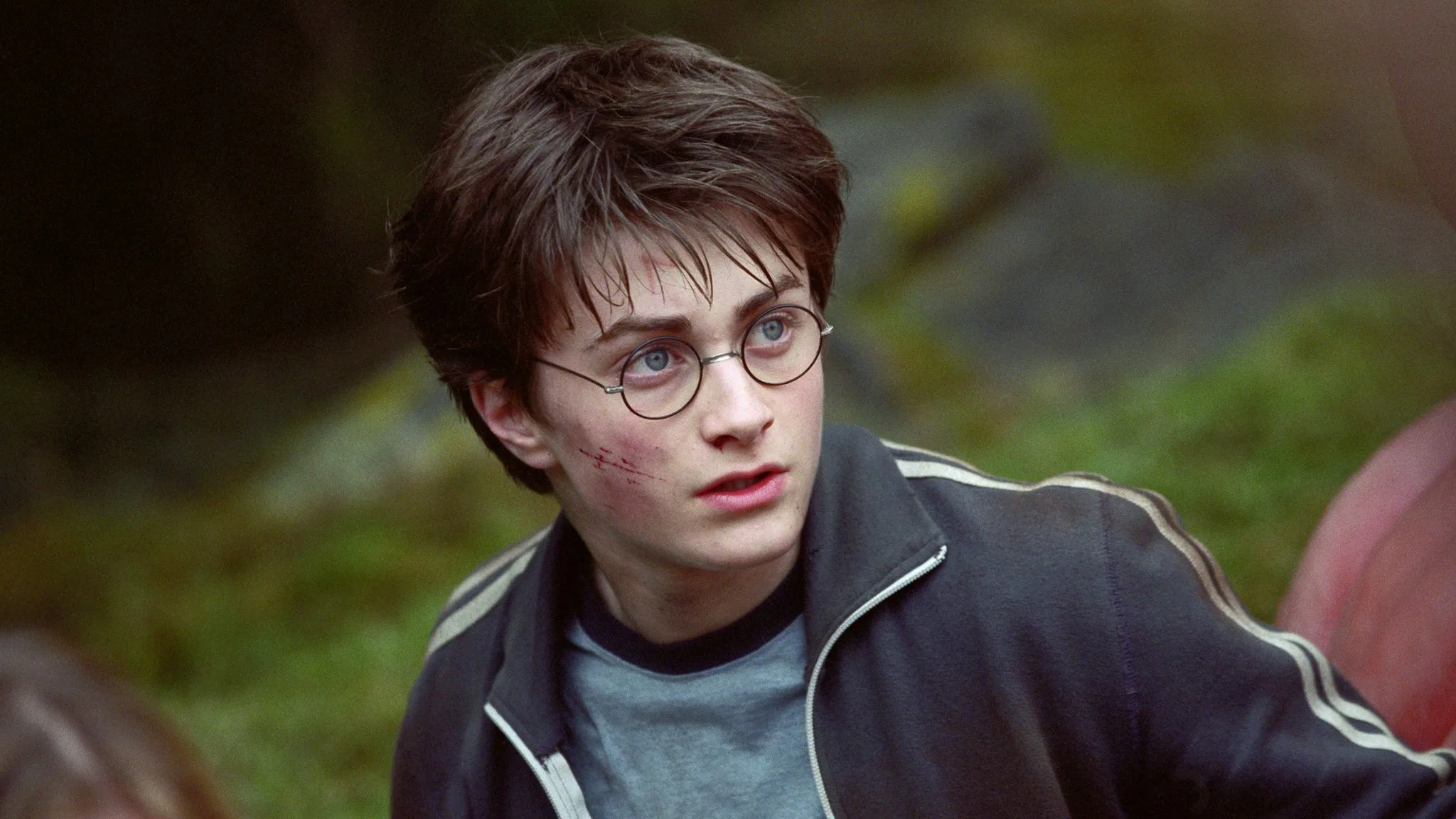 Daniel Radcliffe Hopes Harry Potter TV Series Will Be a More Faithful Adaptation