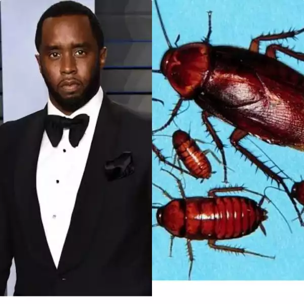 SHOCKING!! How 15 Roaches Motivated American Rapper P Diddy To Become Rich & Famous (See This)