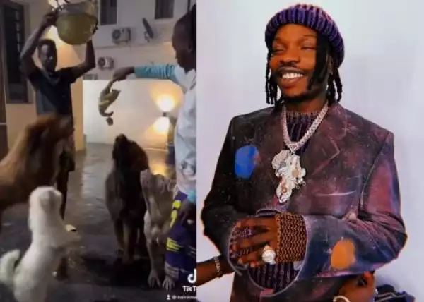 Dogs Dey Enjoy Pass Human Being – Nigerians React As Naira Marley Feeds His Dogs With Full Chicken Each (Video)