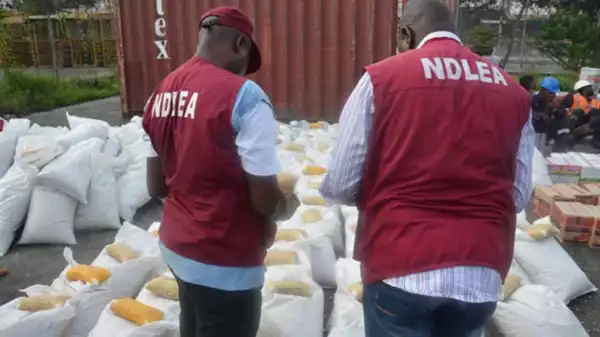 NDLEA Arrests Suspect With 228kg Of Cannabis In Ondo
