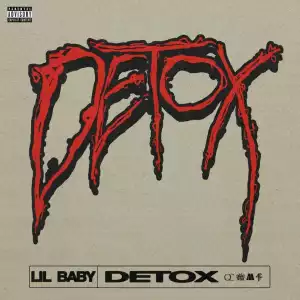 Lil Baby – Detox (Instrumental)