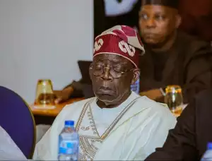 Removal of Electricity Subsidy Will Cause Chaos – APC Chieftain Warns Tinubu