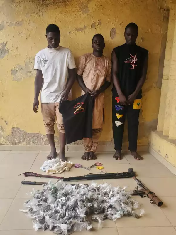 Police arrest three suspected armed robbers, recover guns and Indian hemp in Niger state