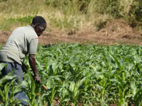 Agro-tech entrepreneurs, others advocate inclusion of data-driven farmers