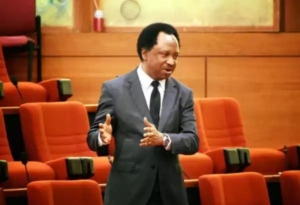 Shehu Sani Advises People Donating Their Building As Isolation Centre