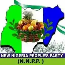 NNPP suspends two members