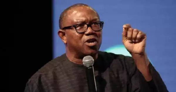 African China To Vote Peter Obi But With A Condition