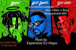 DJ Hiypo  – Seyi Vibez, Buju Gwagwalada Mix