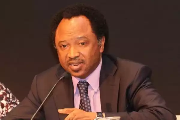 Shehu Sani Commends FG Over Payment Of Withheld ASUU Salaries