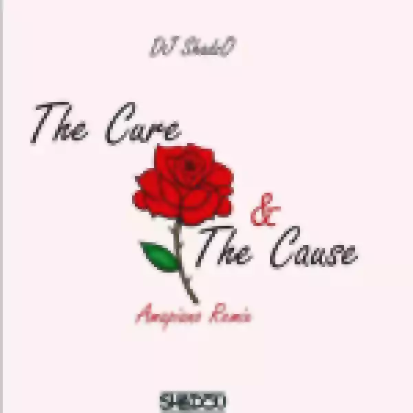 DJ ShadzO – The Cure and the Cause (Amapiano Remix)
