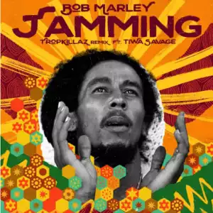 Bob Marley Ft. Tiwa Savage – Jamming (Remix)