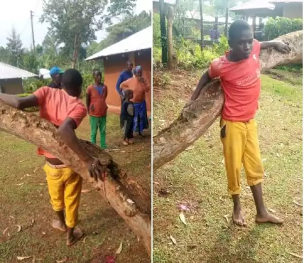Unbelievable! 19-Year-Old Boy Gets Nailed To A Tree For Allegedly Stealing Radio (Photos)