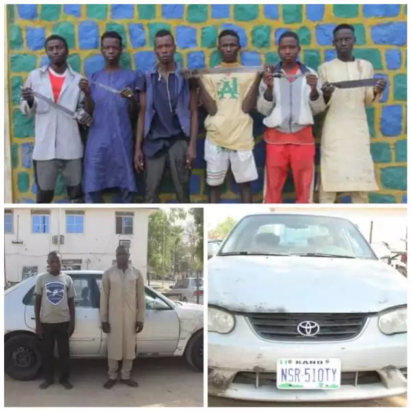 Police arrest six notorious thugs and two other suspects for possession of stolen vehicle in Bauchi