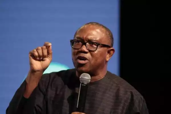 LET’S TALK! Did Peter Obi Actually Break The Law?