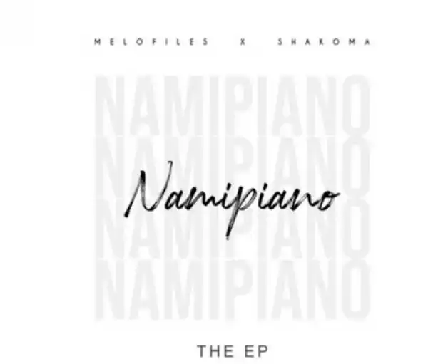 Smallz – Everybody Say T (Namipiano Remix)