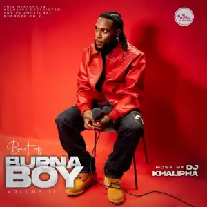 DJ Khalipha – I Told Dem (Best of Burna Boy Mix) Vol II