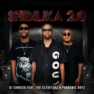DJ Sandiso – Shibilika 2.0 ft. Pandemic Boyz & The Elevatorz