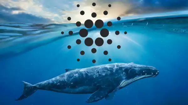 What’s Awaited for Cardano’s Network, Will It Join Hands With Solana