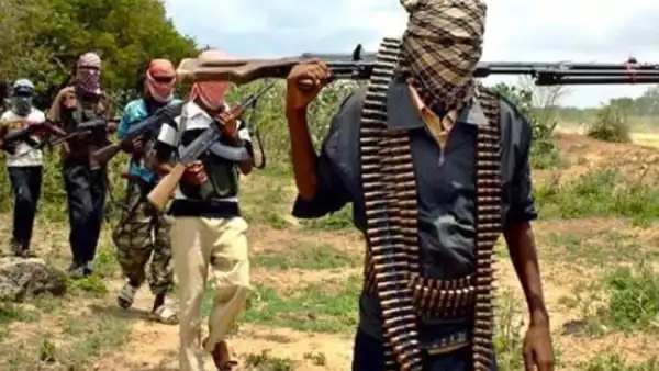 FG releases official gazette proscribing bandits as terrorists