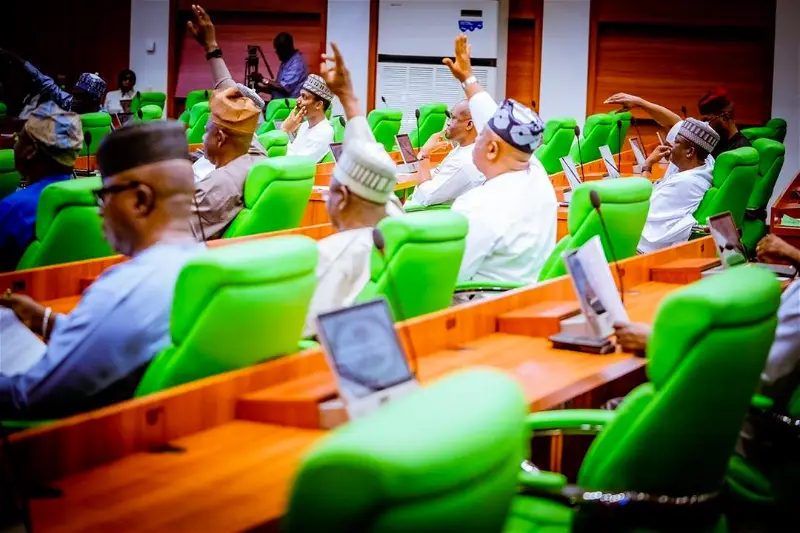 Japa syndrome: Reps reject motion to stop emigration of young Nigerians