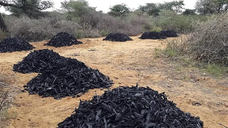 Charcoal export legality group flags-off tree planting project against climate change