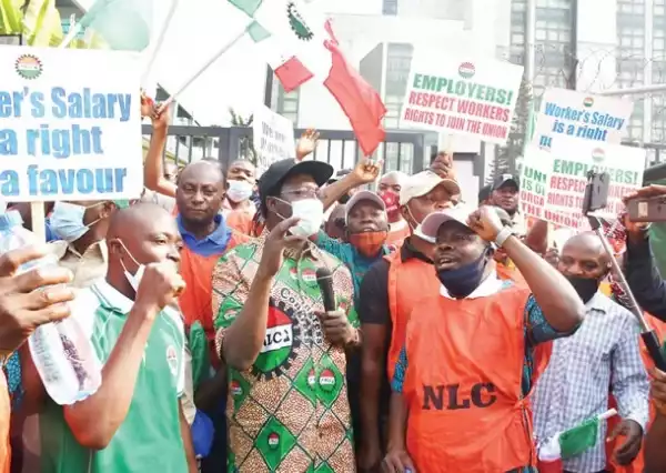 INEC Is Violating Its Own Electoral Guidelines - NLC