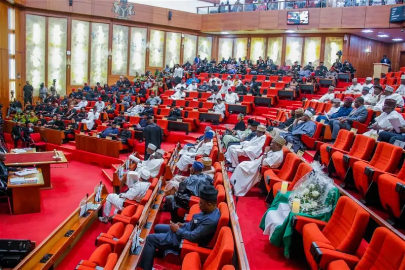 2023 Election: Stormy session in senate over result collation