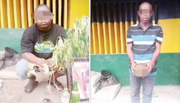 Yahoo Boy And Herbalist Caught With Human Parts In Delta State (Photo)