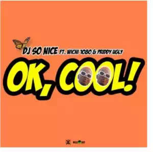 DJ So Nice – Ok Cool Ft. Wichi1080 & Priddy Ugly