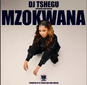 DJ Tshegu – Mzokwana (feat. Sims Noreng)