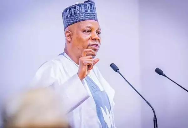 WEF: Tinubu Asked Me To Sell The Nigerian Dream In Davos – Shettima
