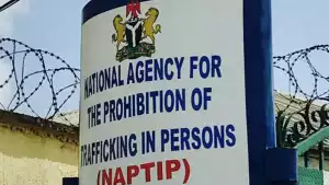 How NAPTIP Nabbed 64 Traffickers, Rescues 100 Victims In Edo And Delta